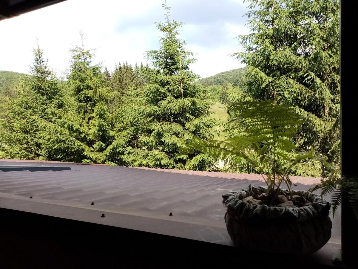 Poiana Cristian 招待所 Poiana Brasov