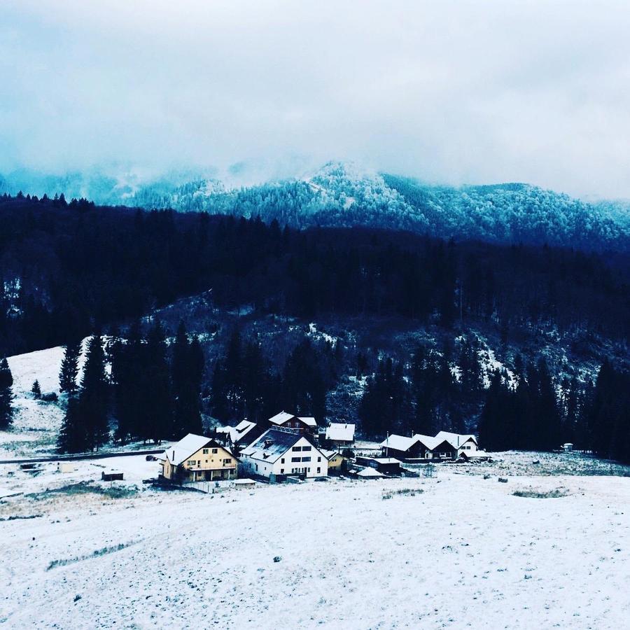 Poiana Cristian Poiana Brasov